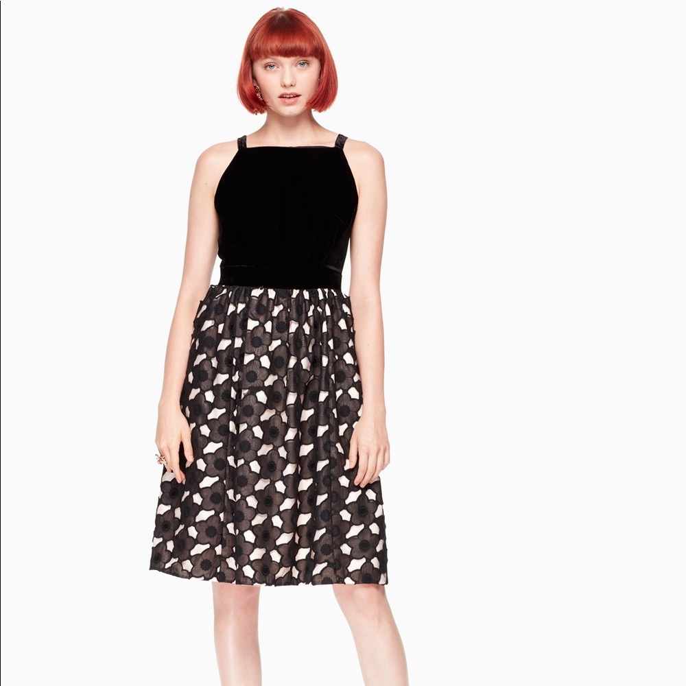Kate spade poppy cut work dress